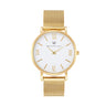 Stella Mesh Watch in Gold with Gold metal mesh band, 38mm