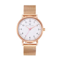 Olivia Metal Mesh Watch - Maxi (38mm) / Rose Mesh