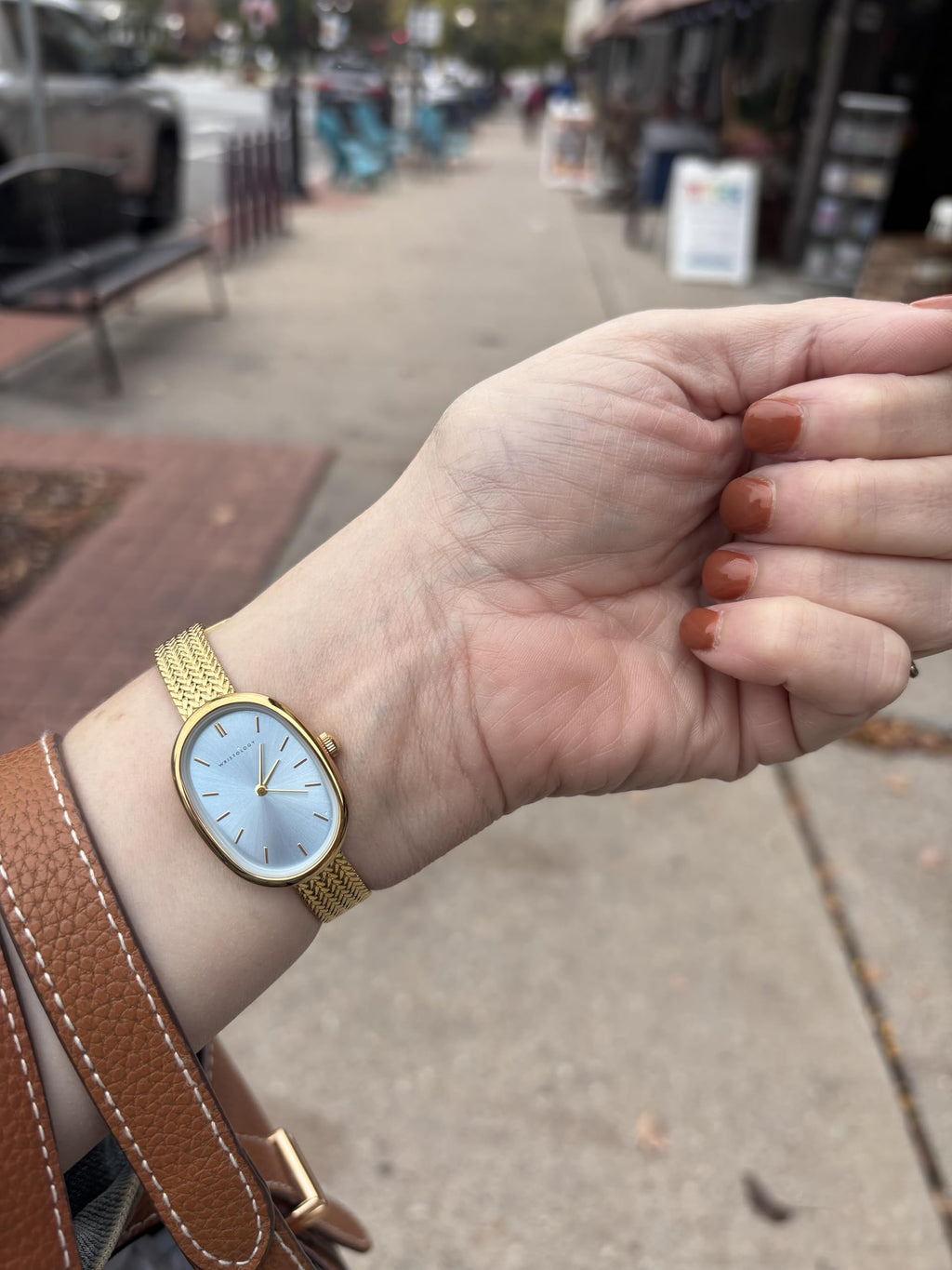 Michelle Oval Watch in Gold with Gold metal mesh band, 24mm